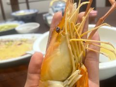 阳澄湖一号大虾-小陆莲花蟹园农家乐(莲花岛店)