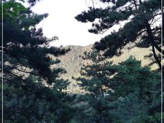 -山叶口景区