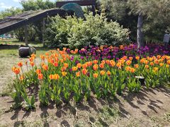 -长春公园(普阳街道)