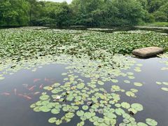 -白马涧龙池景区
