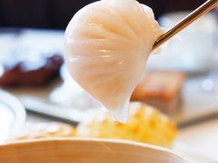 -喜粤8号(四海唐人街店)