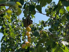 -天津盘山风景名胜区