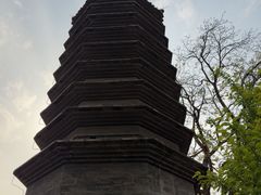 -正阳书局(西四南大街店)