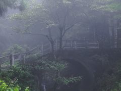 -东天目山风景区