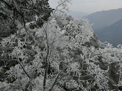 -金子山原生态旅游风景区