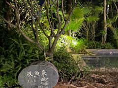 -熹乐谷温泉度假区
