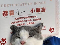 -御宝贝24h宠物医院·转诊中心·CT核磁血透中心(厦门总院)