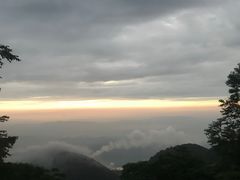 -武陵山森林公园