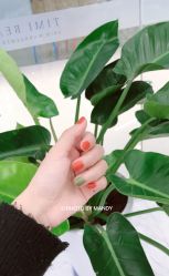 -沐白•盛妍日式美甲美睫