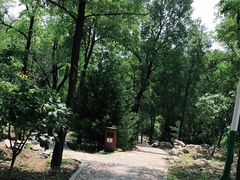 -阳台山自然风景区