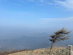 -灵山