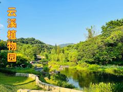 -云溪植物园
