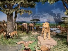 -国家自然博物馆