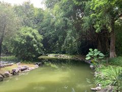 -珠海圆明新园