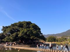 -云水谣景区