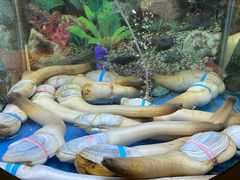 -辉哥火锅(虹桥路店)