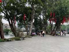 -荔湾湖公园