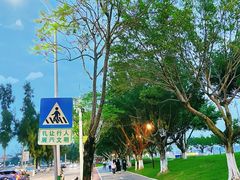 -厦门园林博览苑