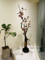 -康颜SPA自然疗愈皮肤管理中心