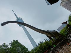 -陕西自然博物馆