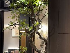 -苏淮景·苏闽融创菜·海鲜(原空港井河轩店)