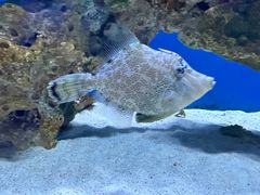 -海合安武汉极地海洋公园