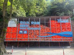 -雅鲁激流探险漂流