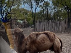 -上海野生动物园