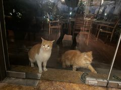 -浙江西子宾馆·瑶园咖啡厅