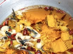 -雲蜀龙阁·金牌水煮鱼(方庄店)