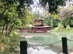 -铁山坪森林公园