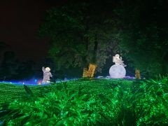 -广西壮族自治区药用植物园