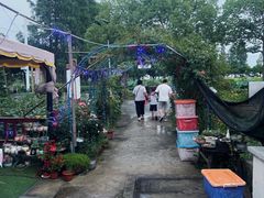 -大莲湖农家乐(青西郊野公园店)