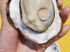 桑拿蠔-天宝食坊·啫啫煲大排档(西华路店)