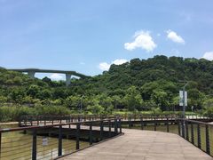 -飞凤山奥体公园