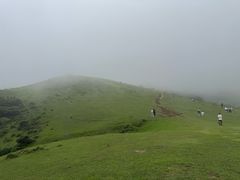 -大姆山草场