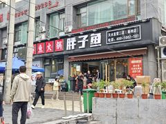 -胖子鱼·油泼甘谷辣子炝活鱼(秦州407店)