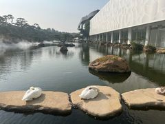 -罗红摄影艺术馆