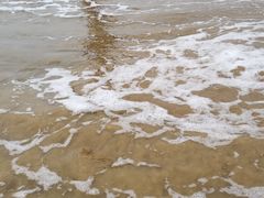 -日照海滨国家森林公园