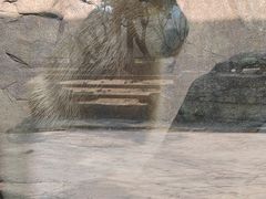 -宁波野生动物园