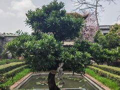 -东莞市可园博物馆