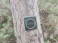 -帽儿山国家森林公园