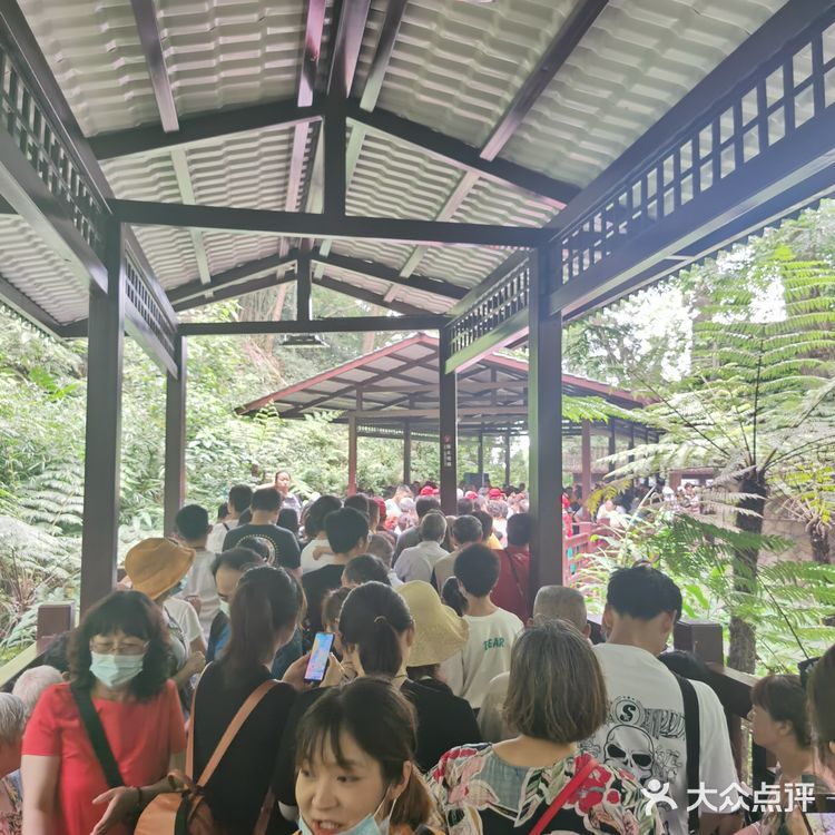 风景还是挺不错的，里面主要就是爬阶梯，因为时间原因