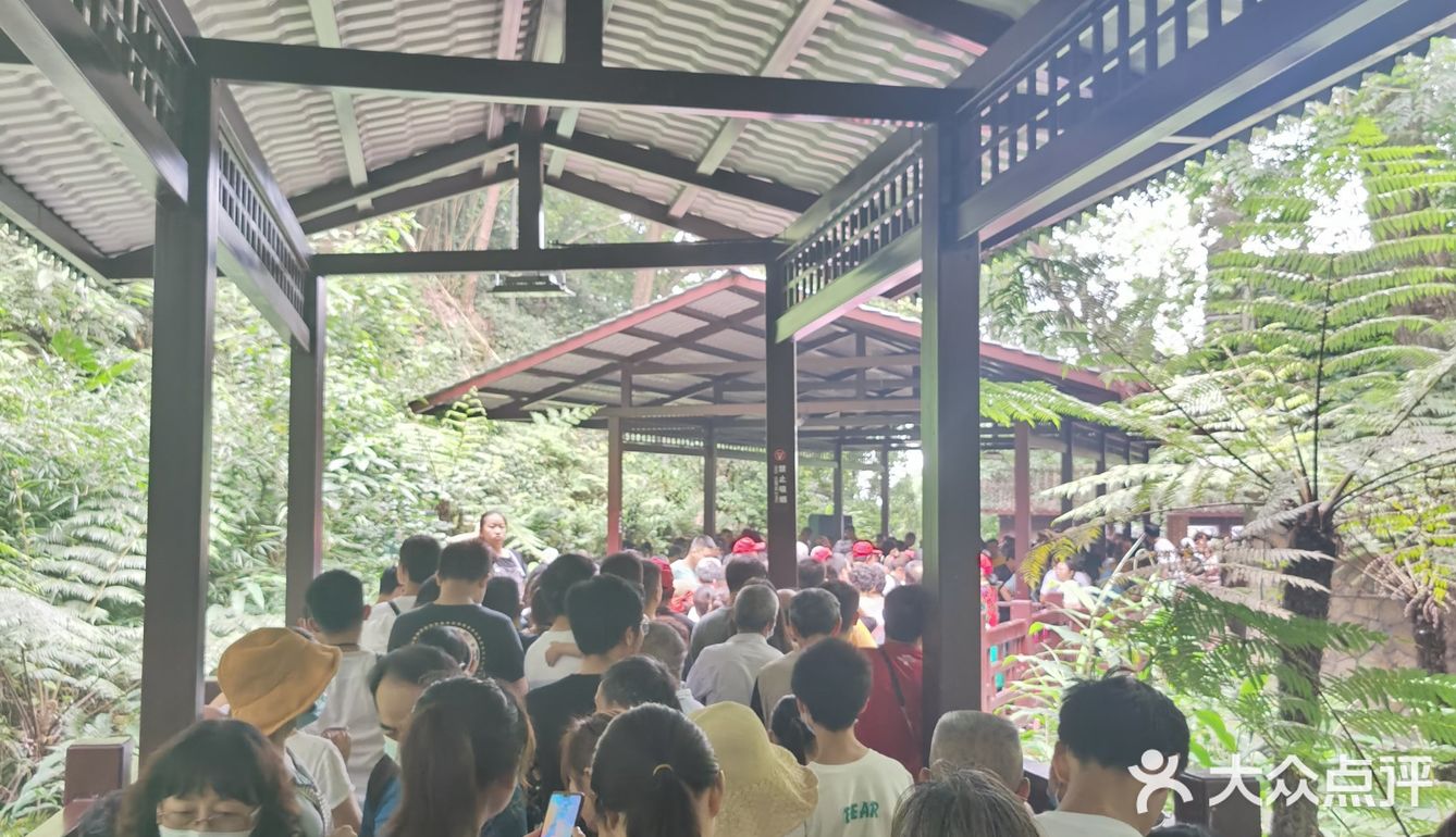 风景还是挺不错的，里面主要就是爬阶梯，因为时间原因