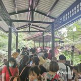 风景还是挺不错的，里面主要就是爬阶梯，因为时间原因