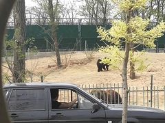 -秦皇岛野生动物园