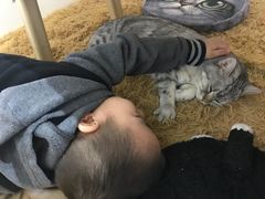 -小时光咖啡馆(开森度假森林店)