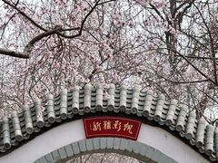 -桃花堤公园
