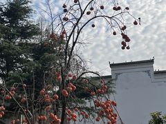 -古德寺