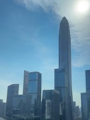 -深圳福田大中华喜来登酒店-西座